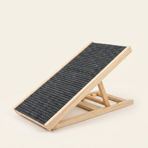 PupLift Everyday Ramp