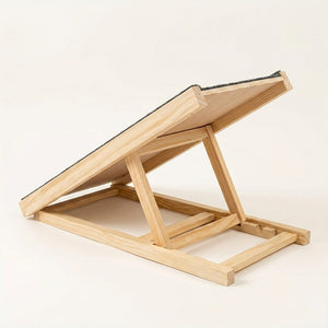 PupLift Everyday Ramp